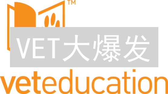 VET大爆发？Bithumb交易所VeChain交易深度大揭秘！速看！