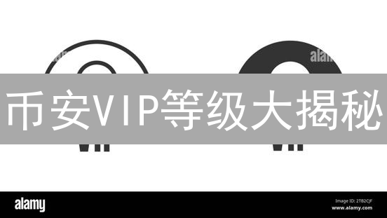 币安VIP等级大揭秘：如何低成本晋升？掌握这些技巧！