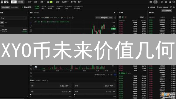 XYO币未来价值几何？多维度解析，把握投资先机！