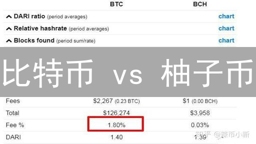 比特币 vs 柚子币：谁的手续费更划算？真相在此！