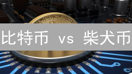比特币 vs 柴犬币：加密货币投资，你选哪个？速看！